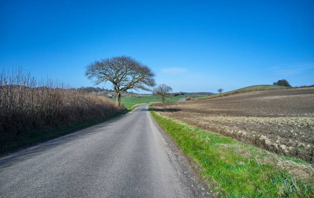 istock One lane country road 1310107893
