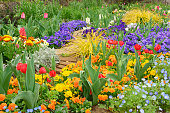 istock Gardening using spring flowers. 1310109365