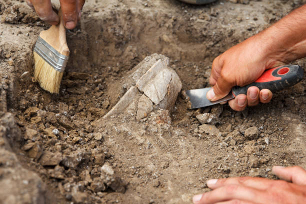 istock Archaeological excavations, archaeologists work, dig up an ancient clay artifact with special tools 1310110482