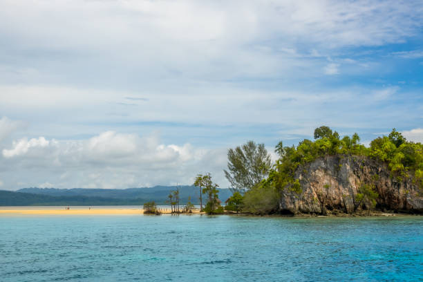 istock Few Unrecognizable People on a Sand Spit and a Tropical Island 1310110844