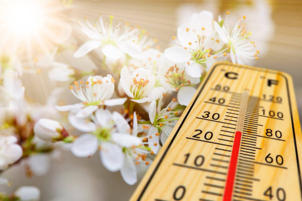 température chaude sur le thermomètre au printemps - pollen forecast photos et images de collection