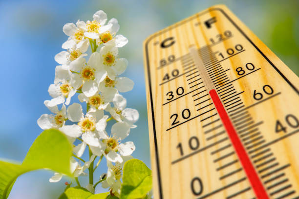 temperatura cálida en el termómetro en primavera - pollen forecast fotografías e imágenes de stock