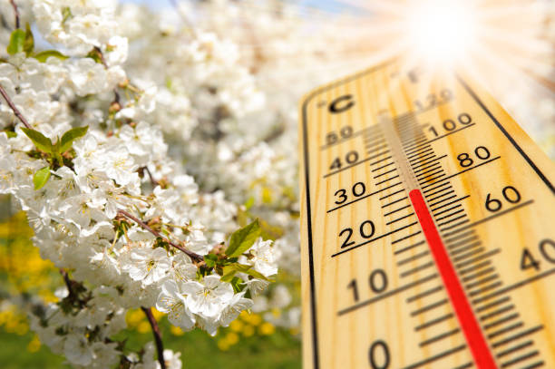 température chaude sur le thermomètre au printemps - pollen forecast photos et images de collection