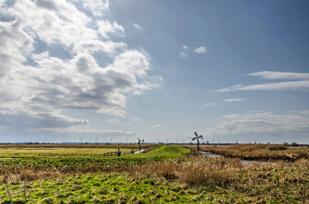 istock Wetlands in the Netherlands 1310112908
