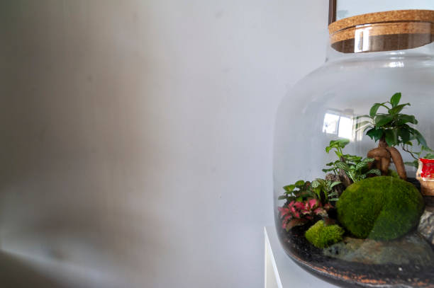 istock Beautiful jar with live forest with self ecosystem, terrarium, forest in a jar 1310116442