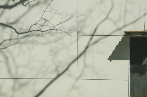 Shadow of tree branches on light wall and small dark door. Symbol of the coming spring. Blurred abstract image of shadows, toning.