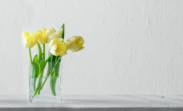 Bouquet yellow tulips in vase, close up