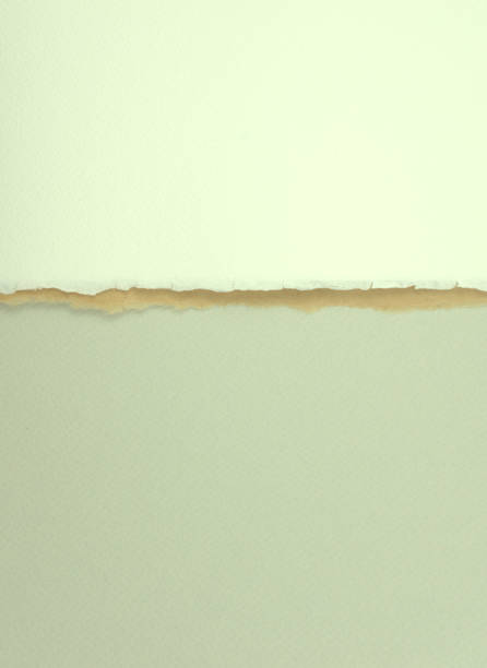 istock Titanium white, brown, pastel gray matte paper with unique torn of the side overlapping. Beautiful handmade cotton paper texture abstract background. Top view, overhead shot. Vertical image. 1310120638