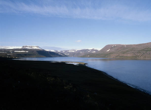 istock Hornstrandir Nature Reserve 1310122107