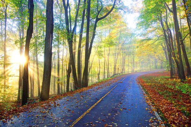 auto road no monte greylock em berkshires - berkshire - fotografias e filmes do acervo