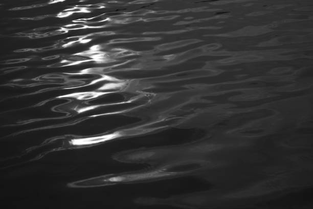 monochrome