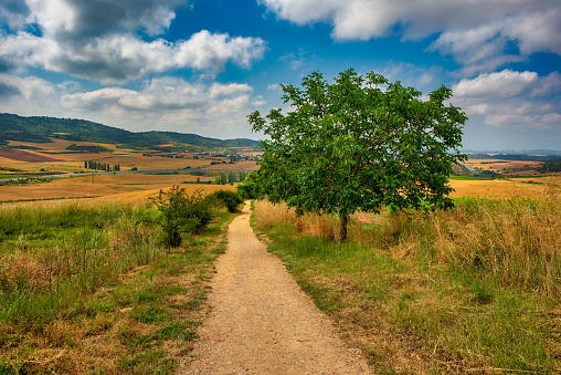 The Camino de Santiago in Navarra on a clear day, Spain