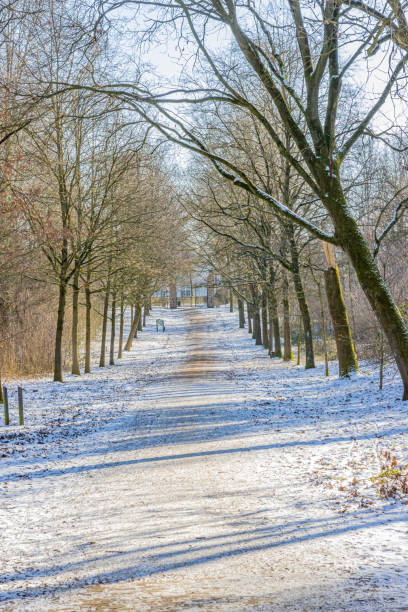 istock Snowy straight dirt road between bare trees in a Dutch park 1310127953