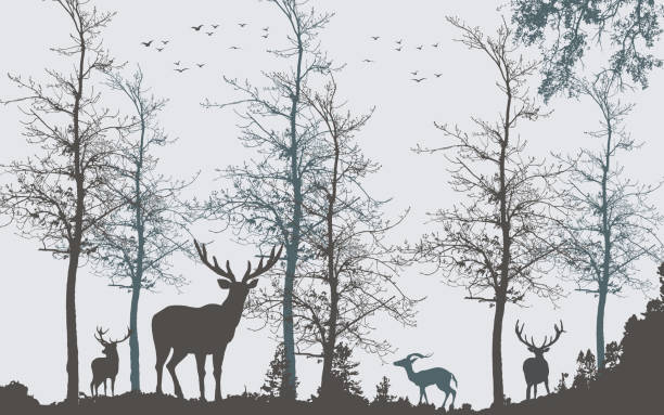 3d mural illustration landscape forest tree wallpaper . birds, deer and mountains with simple modern background