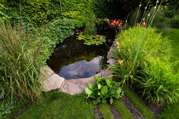 istock artificial reservoir with fresh water among shrubs in landscape design 1310132010