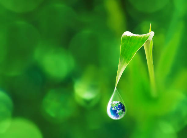 istock Earth in water drop reflection under green leaf, water and World environment concept 1310132089