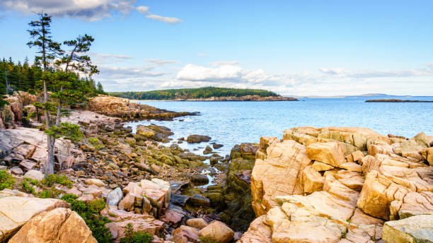 Photo of Acadia seashore