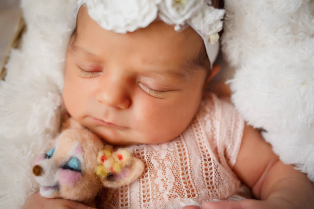 la fille nouveau-née avec un jouet de lion dans ses bras dort dans le panier couvert de couverture blanche de fourrure sur le plancher - baby people headband portrait photos et images de collection