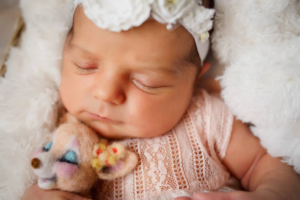 彼女の腕の中にライオンのおもちゃを持つ新生児の女の子は、床に白い毛皮の毛布で覆われたバスケットで眠ります - baby people headband portrait ストックフォトと画像