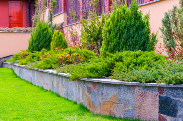istock the flowerbed in landscape design 1310141542