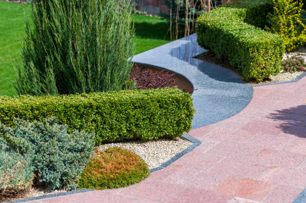 istock Plants and bushes in landscape design 1310141548