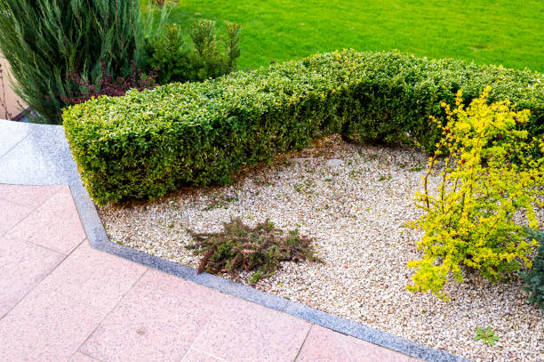 istock the flowerbed in landscape design 1310141603