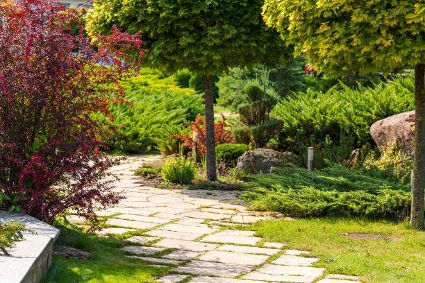 istock green bushes in the park with a stone path 1310141639