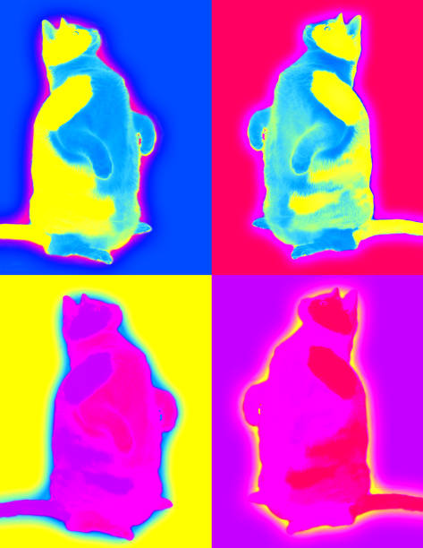 istock Funny colorful cats 1310142334