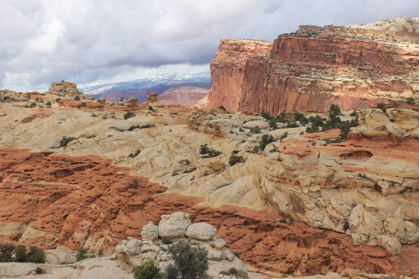 istock Canyon scenery in the southwest 1310144969