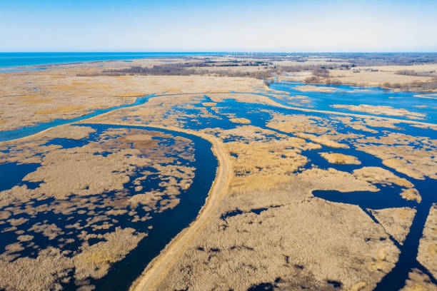 istock Big Creek National Wildlife Area at Springtime, Long Point, Canada 1310145740
