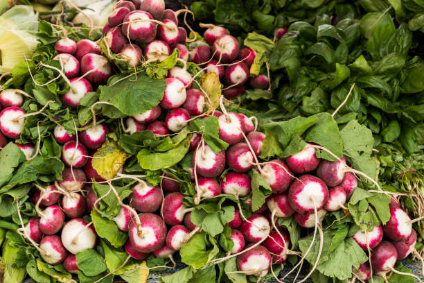 istock freshly radish on the counter 1310146071