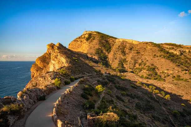 istock Coastal landscape with a road, at sunrise, copy space. 1310147167