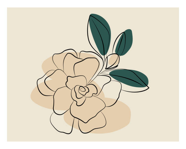 920+ Magnolia Tattoo Illustrations, Royalty-Free Vector Graphics & Clip Art - iStock 920+ Magnolia Tattoo Illustrations, Royalty-Free Vector Graphics & Clip Art - iStock