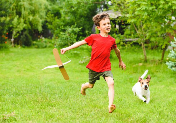 istock Kid boy playing with DIY cardboard plane dreaming to be pilot 1310147870