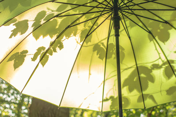 Open umbrella on green nature background with leaf shadows. Bright parasol in sunny spring day concept. Summer light happy backdrop. Horizontal fresh springtime.