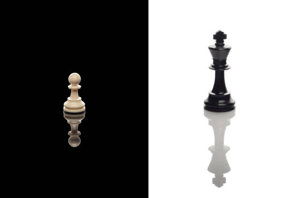 Chess pieces two officers black and white on a white background.