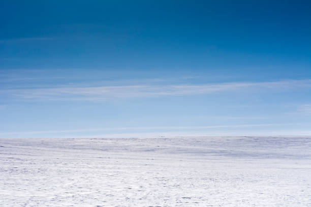 istock Landscape with snow and blue sky 1310149237