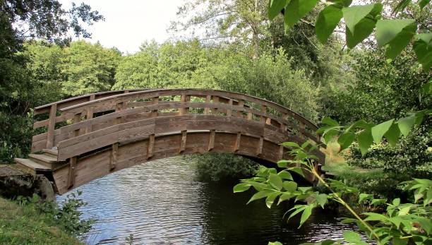 istock Small romantic wooden bridge 1310150034