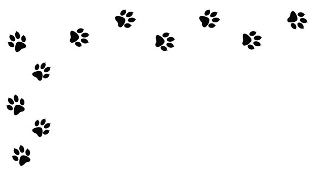 130+ Cat Paw Print Stock Videos and Royalty-Free Footage - iStock | Dirty  cat paw print, Cat paw print pattern, Cat paw print vector
