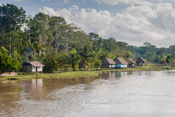 istock Small village in a peruvian jungle 1310151614