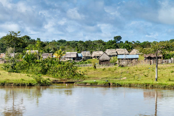 istock Small village in a peruvian jungle 1310151627
