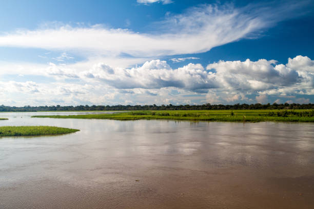 istock View of Amazon river in Brazil 1310151833