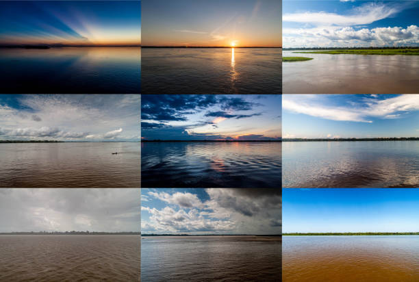 istock Nine photos of Amazon river in Brazil 1310151981