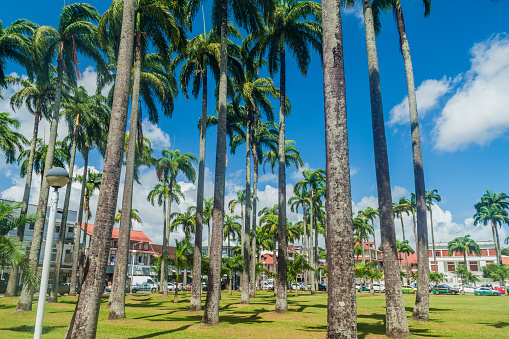 Place des Palmistes square in Cayenne, capital of French Guiana.