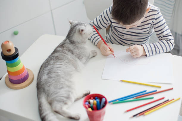 istock Child drawing with cat at home 1310152987