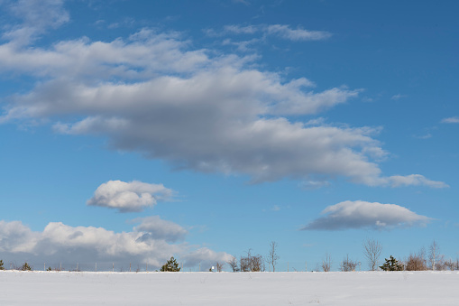 Cloudy blue sky above snow-covered field with tree trunks on the horizon