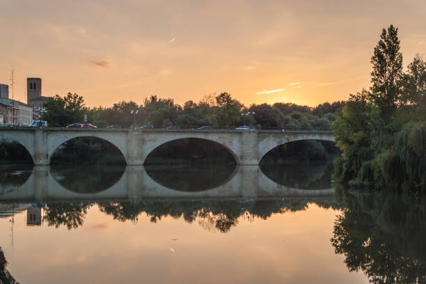 istock Stone bridge in Logrono, La Rioja region, Spain 1310154188