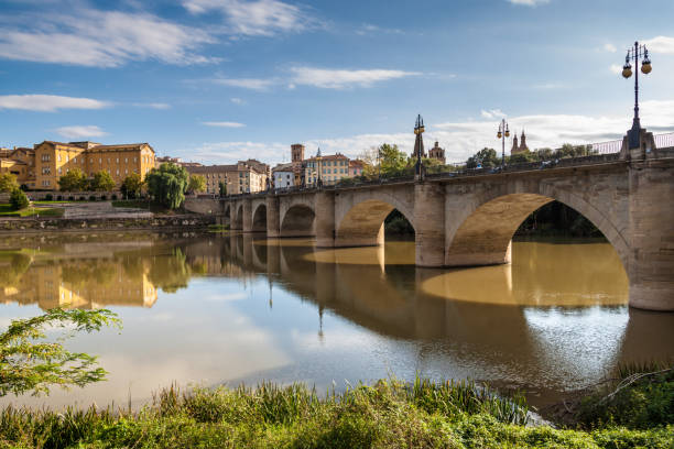 istock Stone bridge in Logrono, La Rioja region, Spain 1310154197