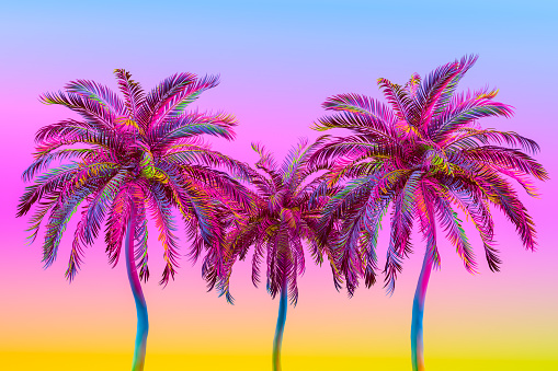 3d rendering of Tropical Palm Tree Color Gradient, Multi Colored Minimal Summer Concept.