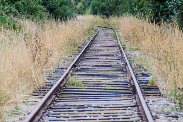 istock Abandoned railway in Puerto Varas, Chile 1310155839
